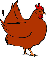 Chicken on a white background, vector