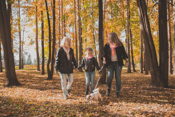 Fototapeta premium Grandmother and mother with granddaughter walks together in autumn park and having fun. Generation, leisure and family concept.