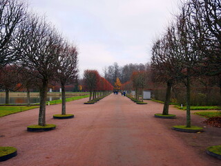 Autumn Park in St. Petersburg. 