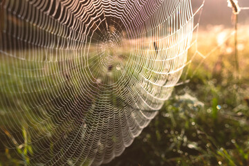 is there system in your life?