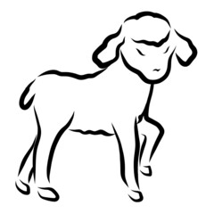 little modest cute lamb with closed eyes