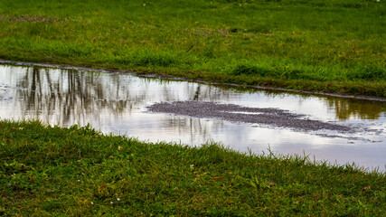 Autumn sketch, reflections in puddle on road, green grass on sidelines