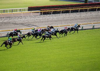 競馬　東京競馬場