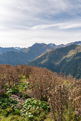 Obraz premium Vue des Pyrénées
