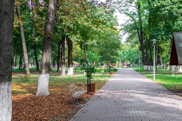 The autumn in the park, Roman Park, Neamt, Romania
