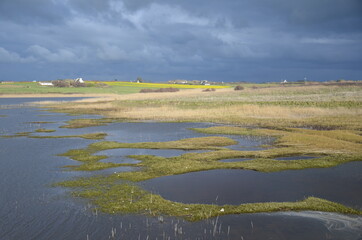 paysage étang et marais en Bretagne