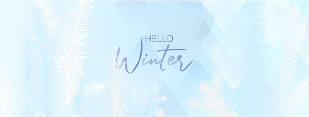 hello winter background with frozen pine trees