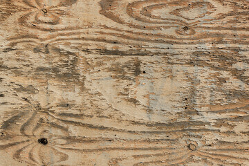 tavola di legno