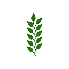 leaf branch icon design template vector