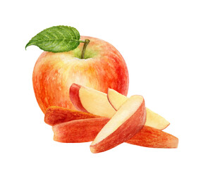 Apple with apple slices heap watercolor illustration isolated on white background