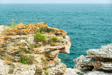 Vegetation on the Tyulenovo Cliffs, Black Sea, Bulgaria