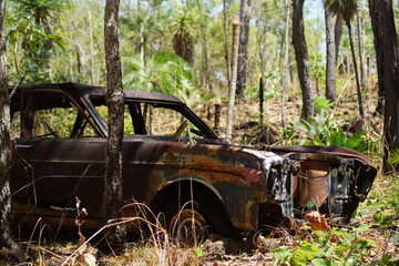 Car wreck in the Wilderness