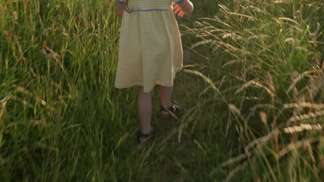 cute preschool little baby girl in yellow dress climbing up trail in tall grass before sunset. Child walking in wild field meadow. Happy kids on mountains. childhood, nature, lifestyle, summer concept