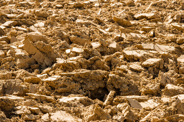 Terre labourée à Villereversure, Ain, France