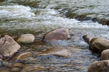 Obraz premium Fast flowing cold water mountain stream, nature outdoors, fresh stream dark blue water