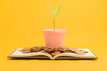 save money, invest in stocks, financial growth, income