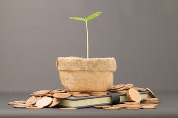 Save on stock investments income growth
