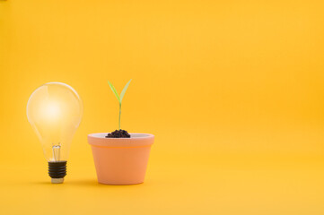 new ideas, growing ideas