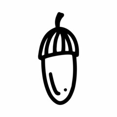 Vector acorn, oak fruit isolated on white background icon. Illustration for seasonal design, textile, decoration kids playroom or greeting card, autumn and halloween. Hand drawn prints and doodle.