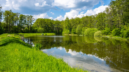 Rural pond on sunny summer day
