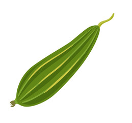Ridged gourd, sin qua. Fresh luffa fruit. Asian vegetable, cuisine ingredient. Healthy vegetarian food. Flat vector illustration.