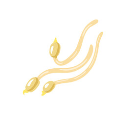 Fresh Beans Sprout. Healthy vegetarian food. Asian cuisine ingredient. Flat hand drawn vector cartoon illustration for recipe, menu, label, product packaging.