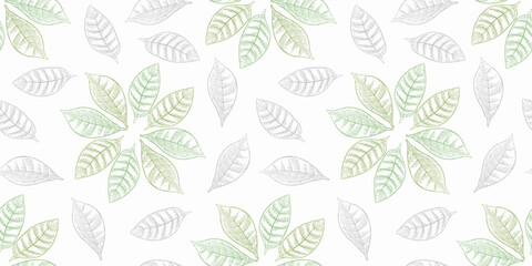 Seamless background made of coffee leaves and decorative round elements made of leaves of tropical plants
