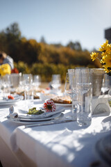 Bridal shower or baby shower event decor outdoors with tables and chairs with pink decorations