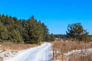 Snowy rural road in the pine forest at winter