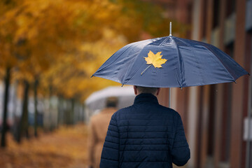 Man with umbrella walking under yellow maple trees on city street during autumn rainy day. Fall season in Prague, Czech Republic..