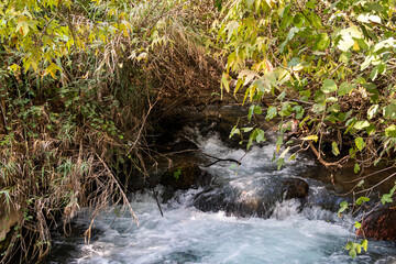 The bed  of the swift mountainous Hermon River with crystal clear waters in the Golan Heights in...