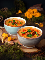 Hungarian mushroom soup with chanterelle mushrooms in bowls styled in forest theme