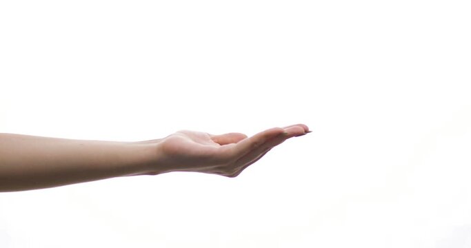 Hand gesture. Give me that. Woman fingers demanding something, isolated on white background. Signs and Symbols.