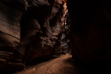 Deep Shadows and Sunlit Walls Intermengal In Buckskin Gulch
