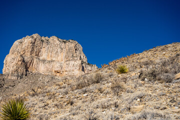 Fototapeta na wymiar El Capitan and Barbury Sheep Under A Bright Blue Sky