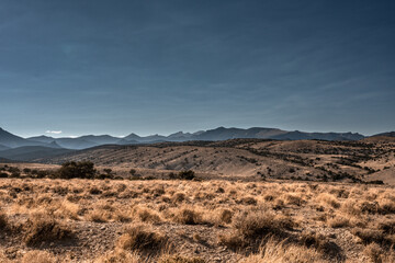 Foothills and Field Below Nevada Mountains