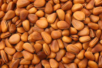 Closeup of shelled raw pine nuts