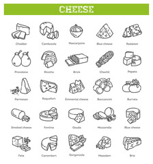 Cheese collection. Vector illustration of cheese types
