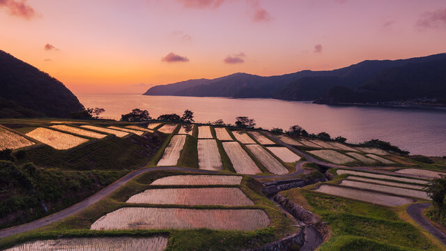 田烏棚田の夕景 Stock Photo Adobe Stock