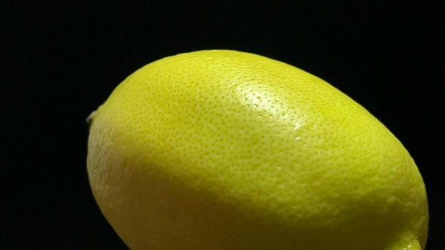 A ripe lemon rotates on a dark background.The concept of healthy fruits.