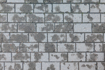 A fragment of the pavement from an old rectangular cement tile. There are residues of moisture on...