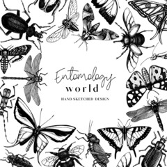 Hand-sketched insect wreath template. Hand drawn beetles, bugs, butterflies, dragonfly, cicada, moths, bee illustrations in vintage style. Entomological frame vector  design. © sketched-graphics