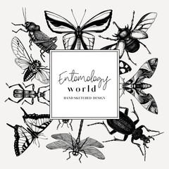 Hand-sketched insect wreath template. Hand drawn beetles, bugs, butterflies, dragonfly, cicada, moths, bee illustrations in vintage style. Entomological frame vector  design. © sketched-graphics