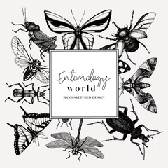 Foto op Plexiglas Hand-sketched insect wreath template. Hand drawn beetles, bugs, butterflies, dragonfly, cicada, moths, bee illustrations in vintage style. Entomological frame vector  design. © sketched-graphics