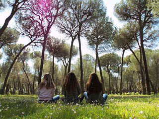 Back view of the company of three young female friends having fun, doing yoga, stretching, relaxing in nature. Healthy friends feel peace sitting under the trees in the pine forest. Spring season.