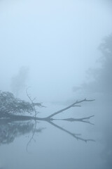 Foggy sunrise by the Odra River