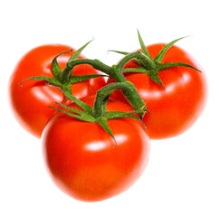 Tomatoes on twig isolated on white background