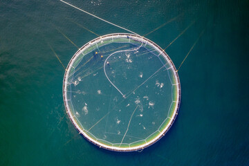 Salmon fish farm aquaculture blue water. Aerial top view.
