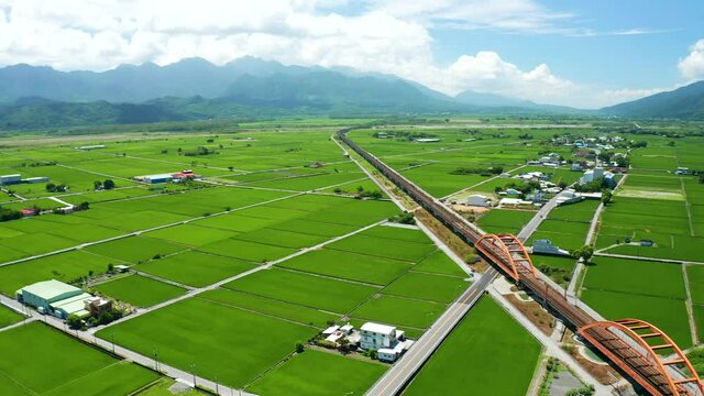 Aerial view beautiful Kecheng Iron Bridge over rice paddy fields in Yuli, Hualien, Taiwan