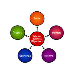 Types of business objectives mind map process, business concept for presentations and reports